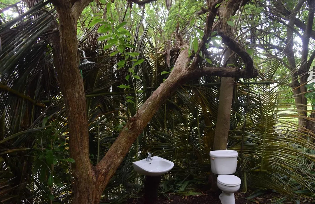 Wild Lotus Glamping-1